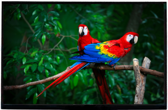 Picture of 10.1" WXGA 1280x800 Resolution Super High Bright Industrial TFT