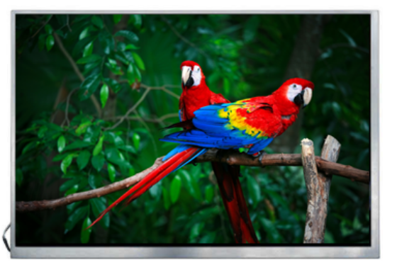 Picture of 10.1" WUXGA 1920 x 1200 Resolution High Bright Industrial TFT