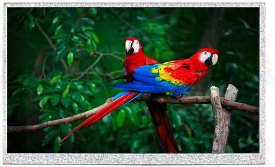 Picture of 10.1" 1024x600 Resolution High Bright Industrial TFT
