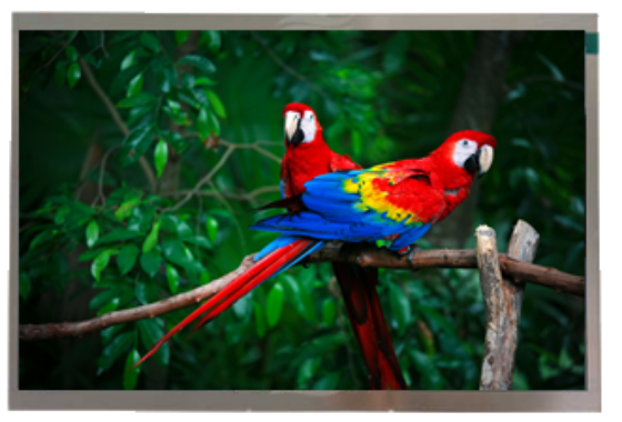 Picture of 10.1" WUXGA Resolution 1920x1200 High Bright Industrial TFT 